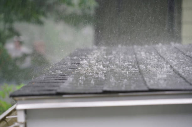 Best Asphalt Shingles Roofing  in Sanford, CO