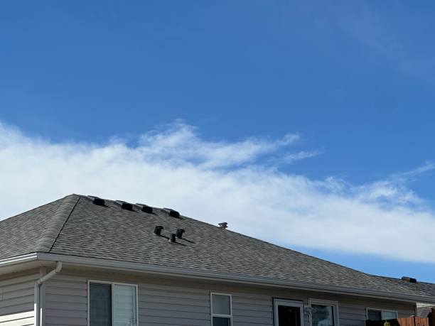 Siding in Sanford, CO